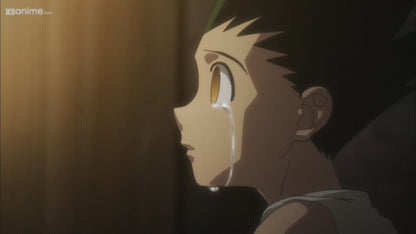 Sacrifice It All - (Hoodie) - (Hunter X Hunter Ep 131 )