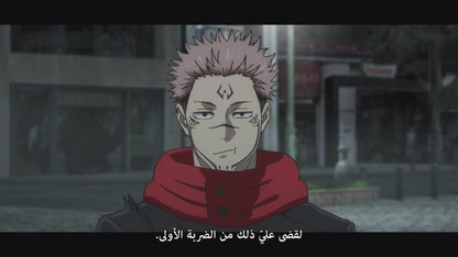 Sukuna vs Mahoraga - (Hoodie) - (Jujutsu Kaisen  - S2 Ep 17)